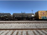 PRGX 10273